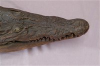 Saltwater crocodile Collection Image, Figure 13, Total 13 Figures